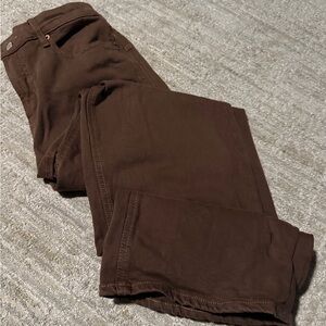 Brown Casual Pants